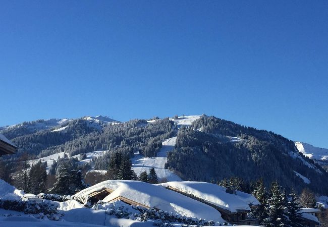 Apartment in Megève - 1 Golf Aval - MONT D ARBOIS - Apartment in Megève - 1 Golf Aval - MONT D ARBOIS -