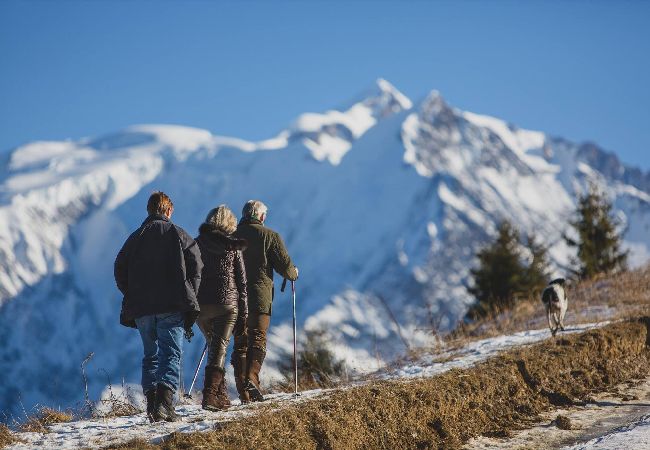 Apartment in Megève - 1 Pierre Croche - JAILLET - Apartment in Megève - 1 Pierre Croche - JAILLET -