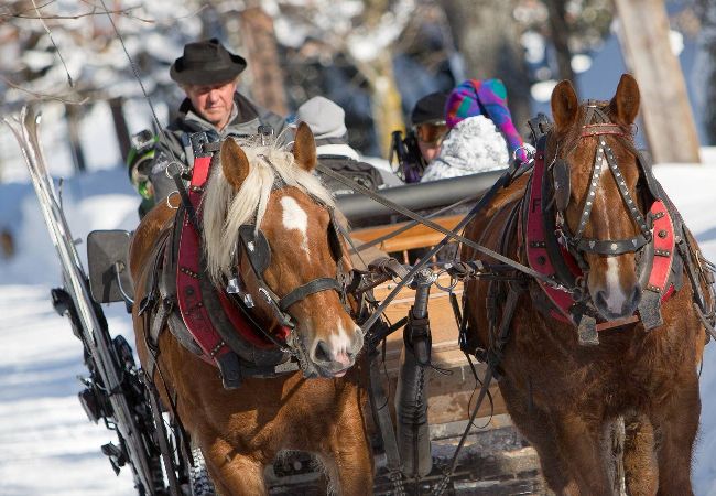 Apartment in Megève - 1 Pierre Croche - JAILLET - Apartment in Megève - 1 Pierre Croche - JAILLET -