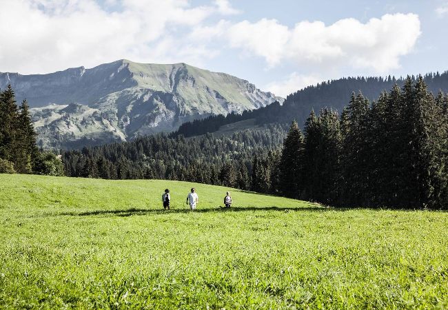 Apartment in Megève - 1 Pierre Croche - JAILLET - Apartment in Megève - 1 Pierre Croche - JAILLET -
