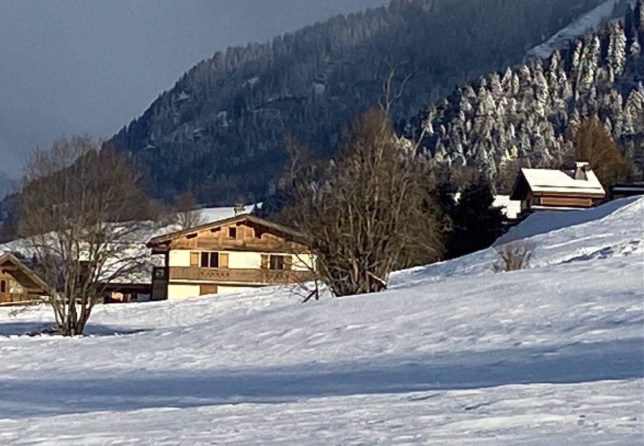 Chalet in Praz-sur-Arly - 2 CHALETIEN