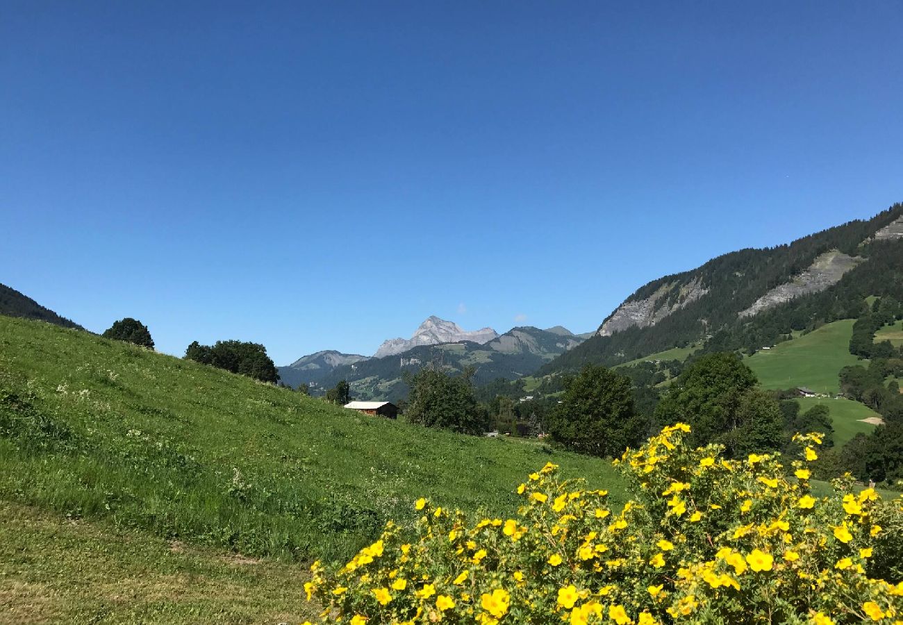 Chalet in Praz-sur-Arly - 2 CHALETIEN