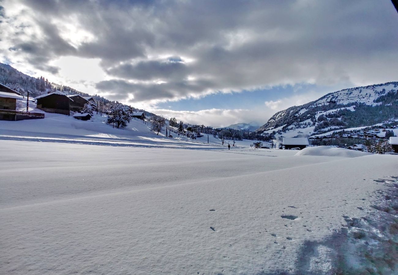 Apartment in Praz-sur-Arly - 2 ERINE3A