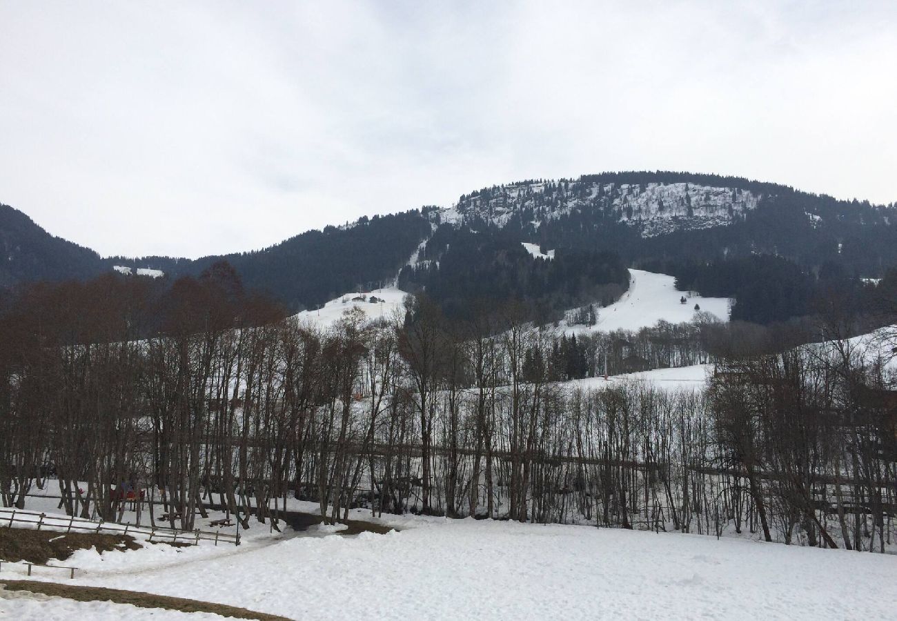 Studio in Praz-sur-Arly - 2 MEURET1G