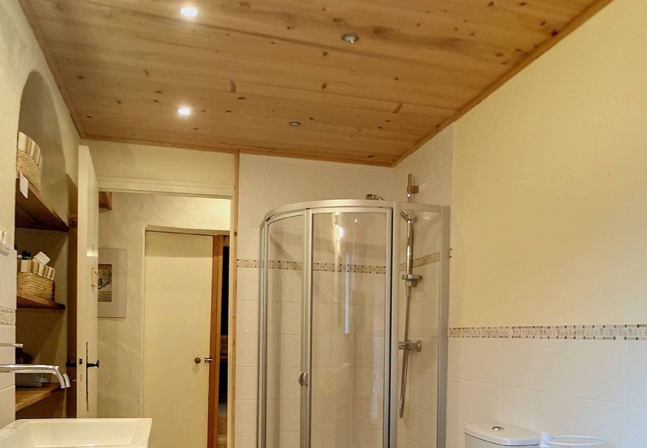 Chalet in Praz-sur-Arly - 2 CHALWAT
