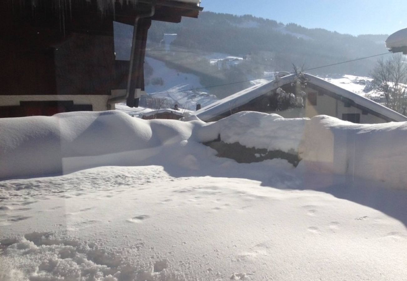 Chalet in Praz-sur-Arly - 2 CHALWAT