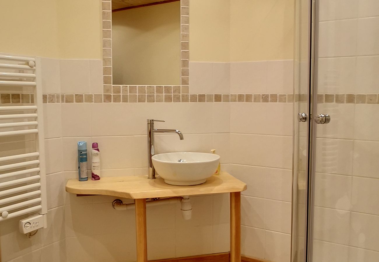 Apartment in Praz-sur-Arly - 2 ROCHERDJ