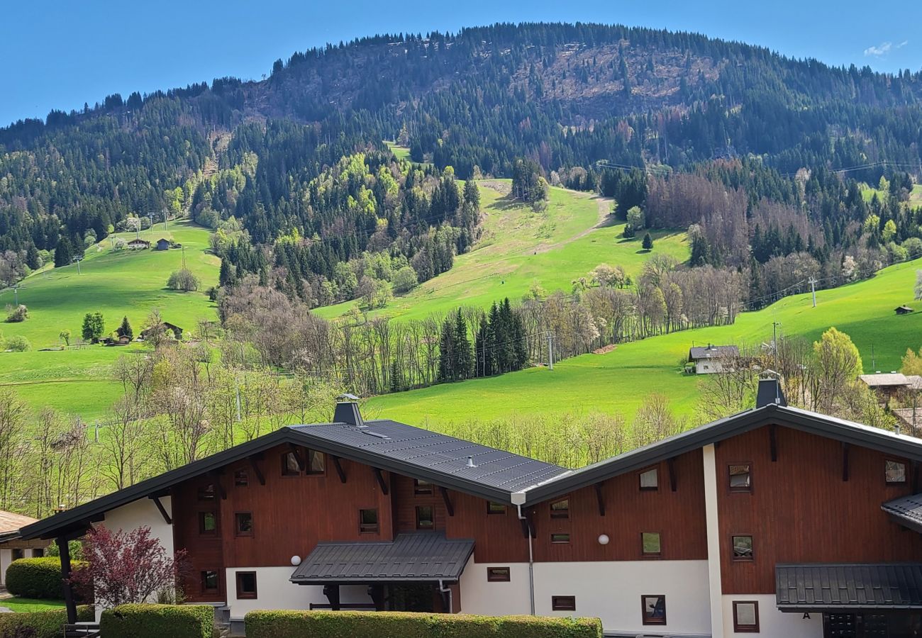 Studio in Praz-sur-Arly - 2 PRVILB66