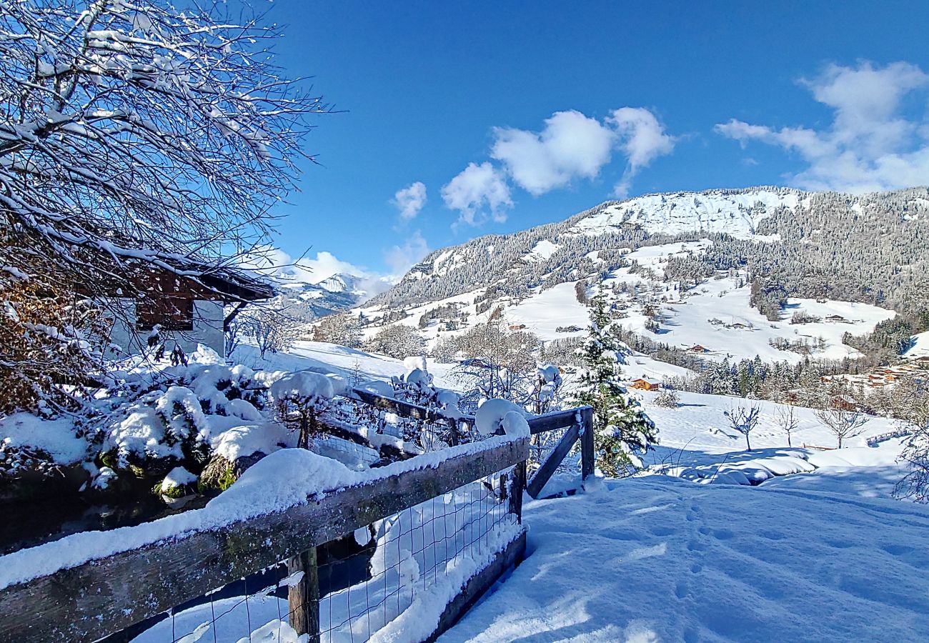 Chalet in Praz-sur-Arly - 2 CHALET DOLCE VITA