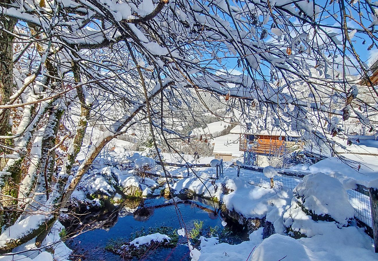 Chalet in Praz-sur-Arly - 2 CHALET DOLCE VITA