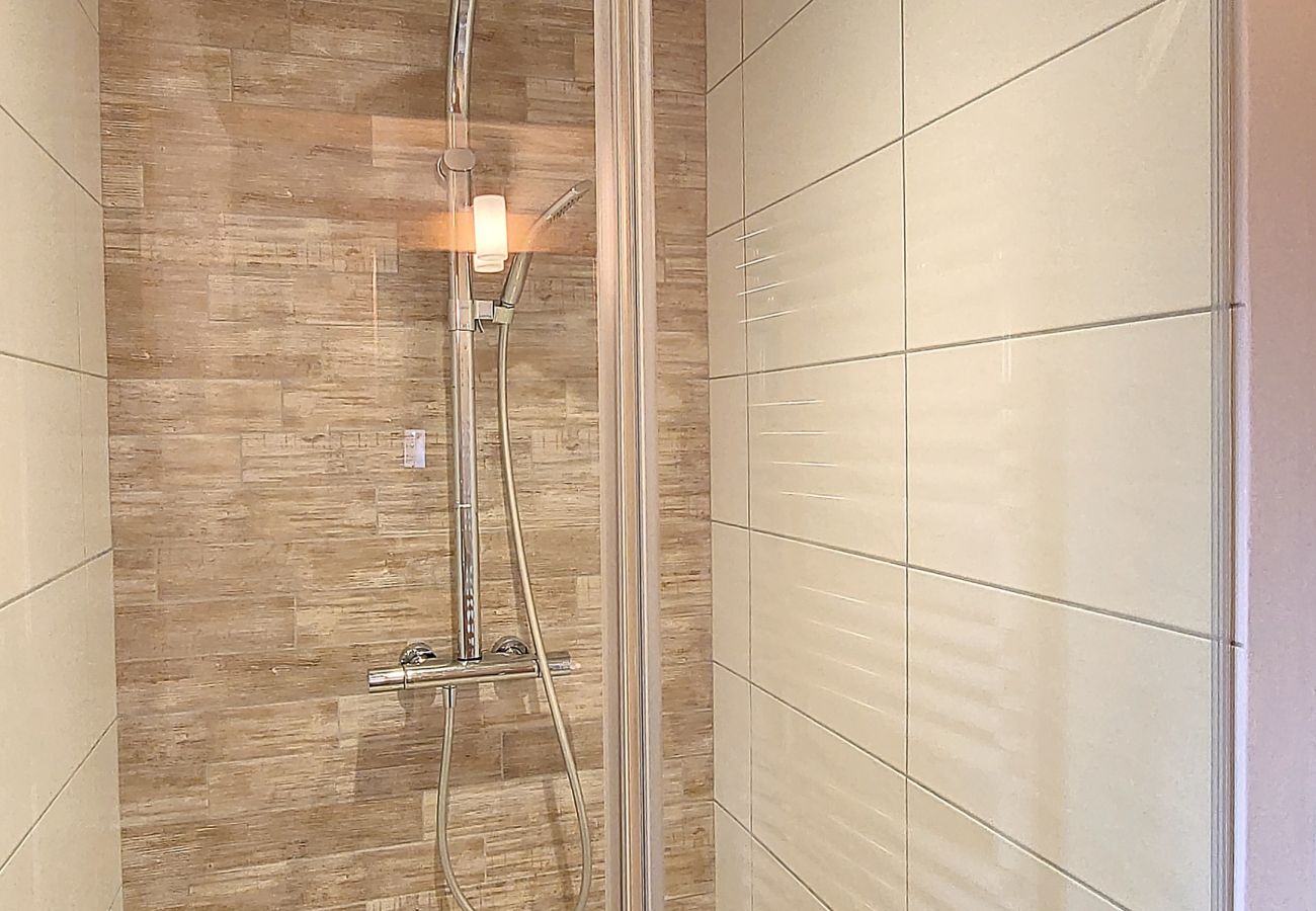 Chalet in Praz-sur-Arly - 2 CHALET MILLES