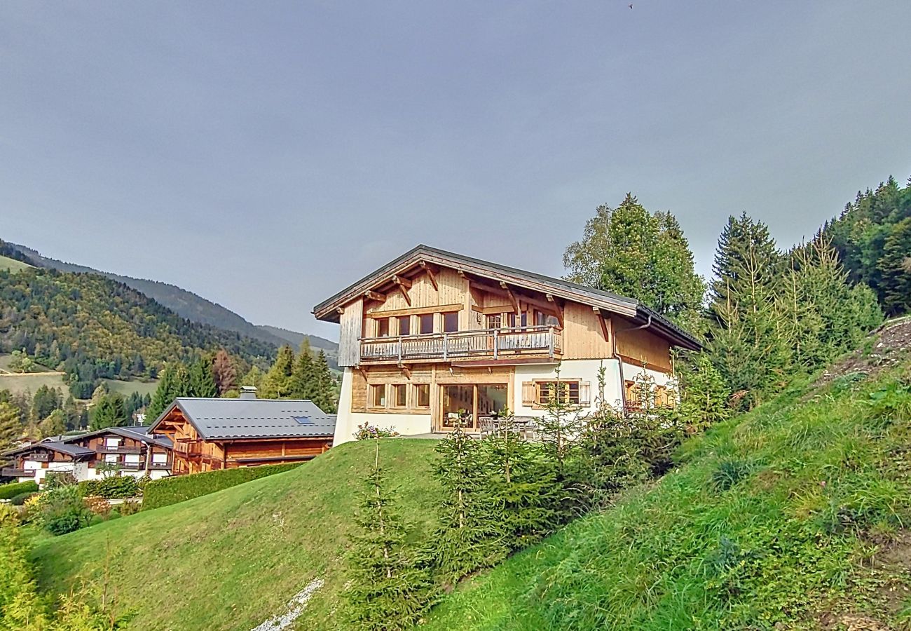 Chalet in Praz-sur-Arly - 2 CHALET MILLES