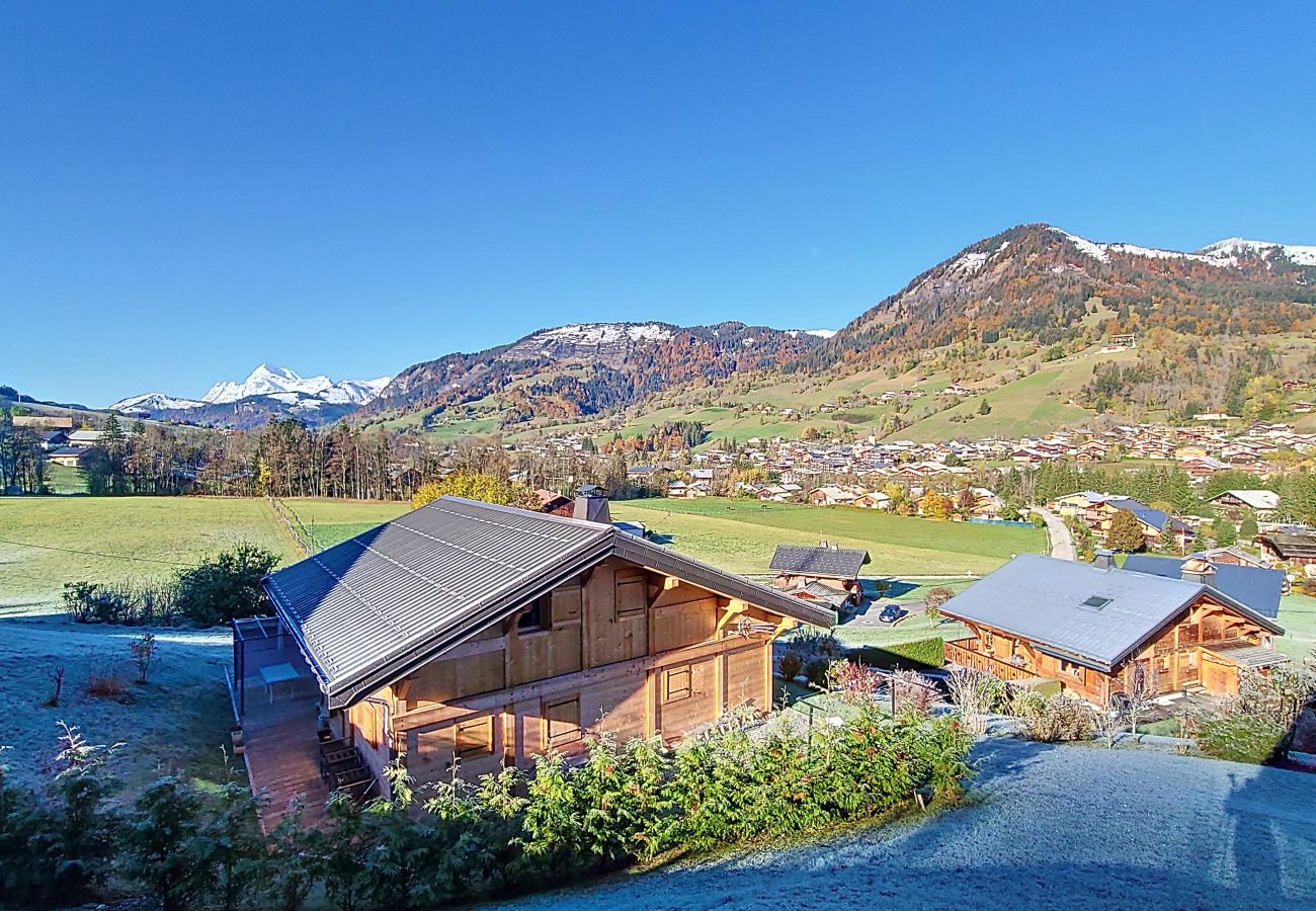 Chalet in Praz-sur-Arly - 2 CHALET MILLES
