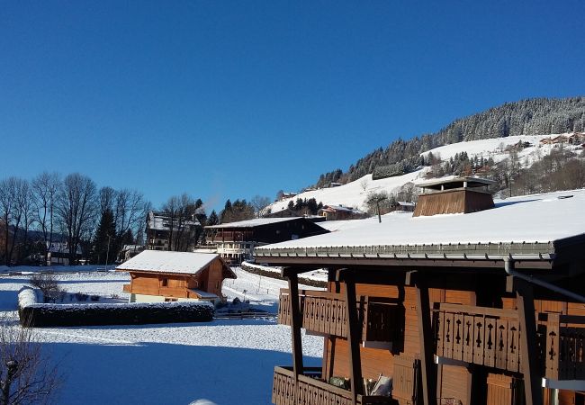 Apartment in Megève - 1 Bruyère 2 - JAILLET - Apartment in Megève - 1 Bruyère 2 - JAILLET -