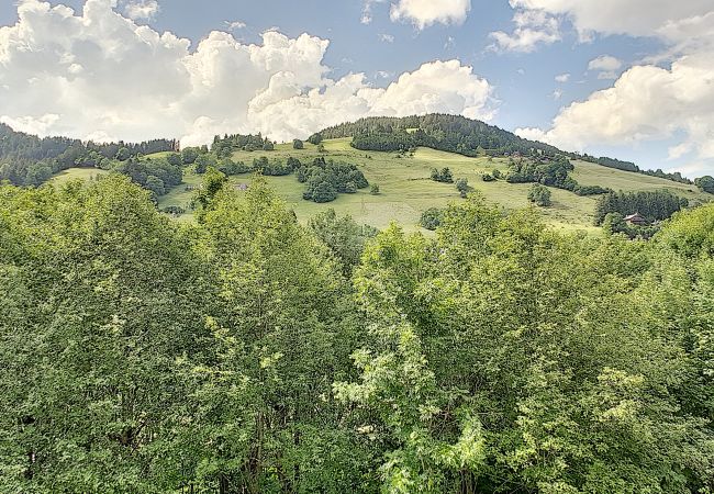 Apartment in Megève - 1 SAISON Riante Colline Anemone 1 Apartment in Megève - 1 SAISON Riante Colline Anemone 1