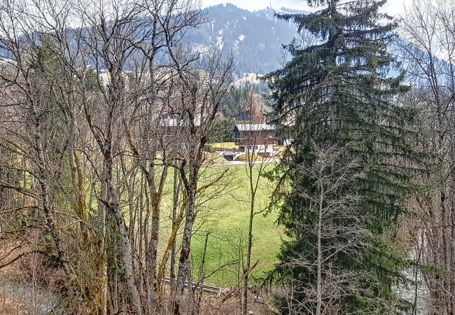 Apartment in Megève - 1 Riante Colline Soldanelles - PROCHE CENTRE - Apartment in Megève - 1 Riante Colline Soldanelles - PROCHE CENTRE -