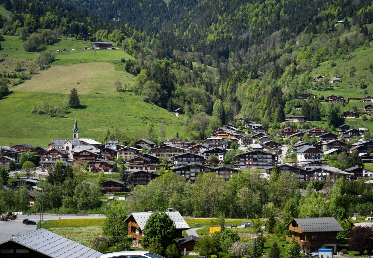 Apartment in Praz-sur-Arly - 2 PO1223