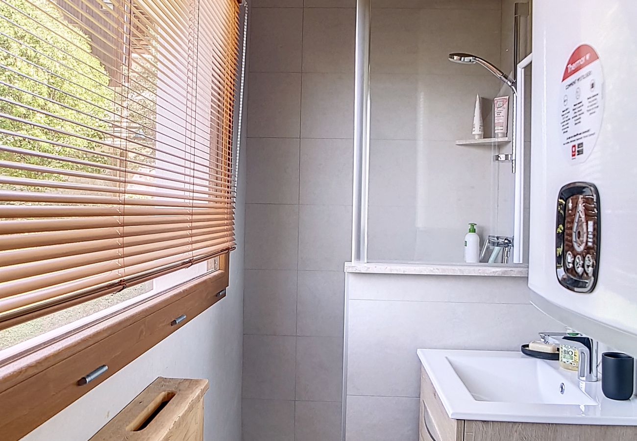 Apartment in Megève - 1 Plein Ciel - ROCHEBRUNE -