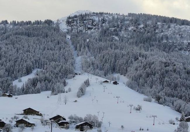 Appartement à Praz-sur-Arly - 2 CMC313 Appartement à Praz-sur-Arly - 2 CMC313