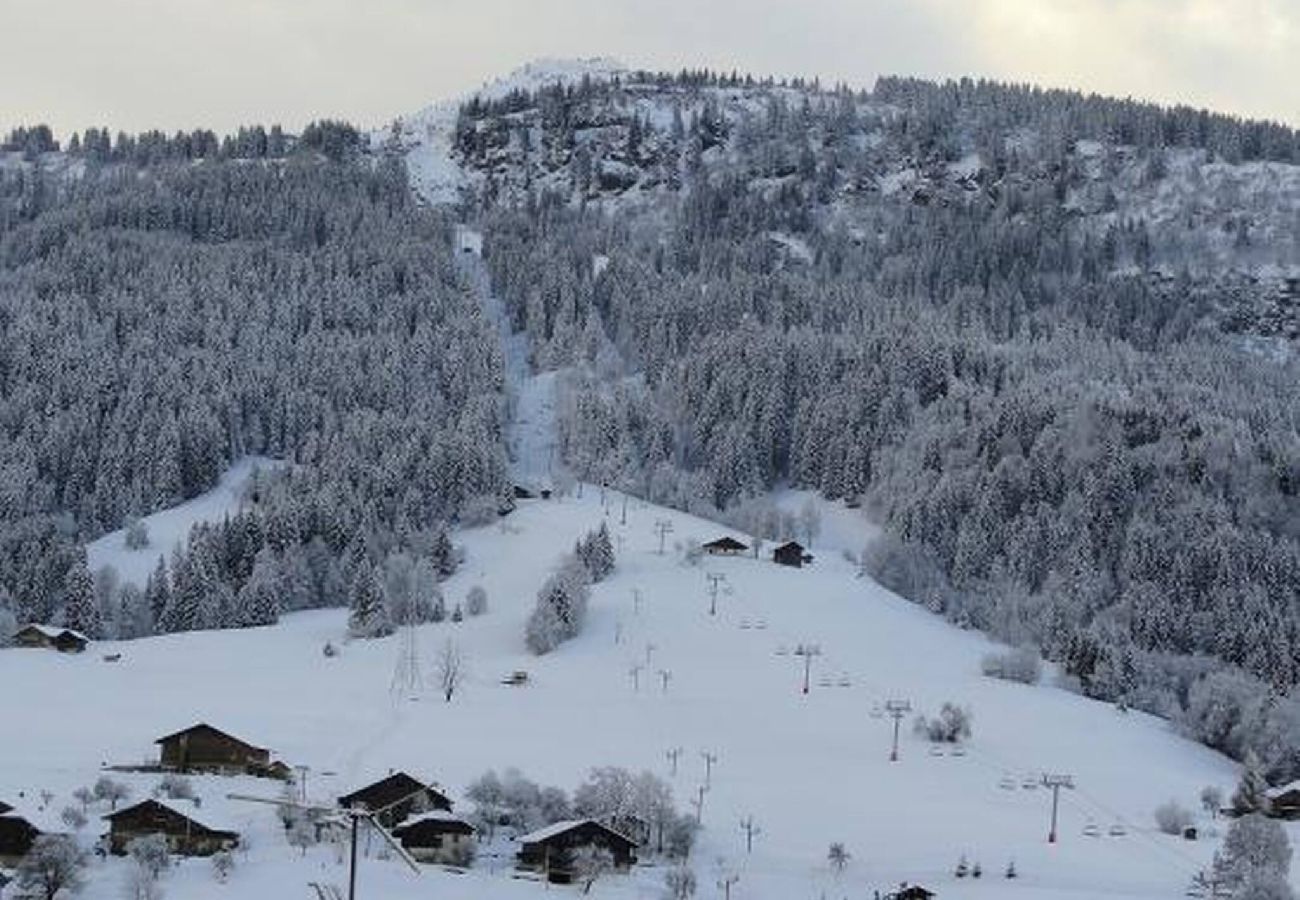 Appartement à Praz-sur-Arly - 2 CMC313