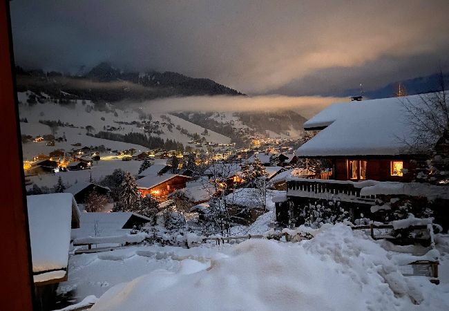 Chalet à Praz-sur-Arly - 2 CHALETIEN Chalet à Praz-sur-Arly - 2 CHALETIEN