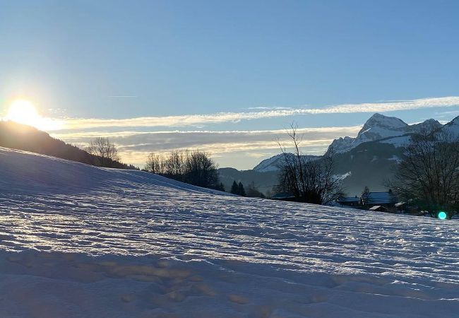 Chalet à Praz-sur-Arly - 2 CHALETIEN Chalet à Praz-sur-Arly - 2 CHALETIEN
