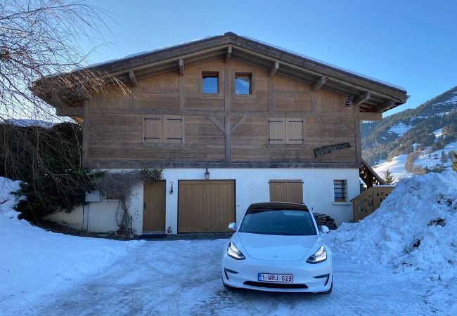 Chalet à Praz-sur-Arly - 2 CHALETIEN Chalet à Praz-sur-Arly - 2 CHALETIEN