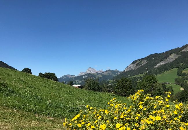Chalet à Praz-sur-Arly - 2 CHALETIEN Chalet à Praz-sur-Arly - 2 CHALETIEN