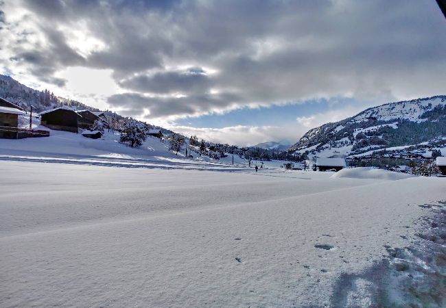 Appartement à Praz-sur-Arly - 2 ERINE3A Appartement à Praz-sur-Arly - 2 ERINE3A