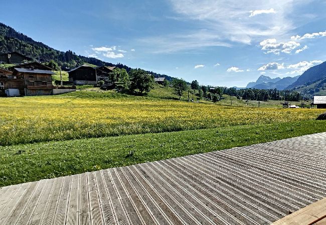 Appartement à Praz-sur-Arly - 2 ERINE3A Appartement à Praz-sur-Arly - 2 ERINE3A