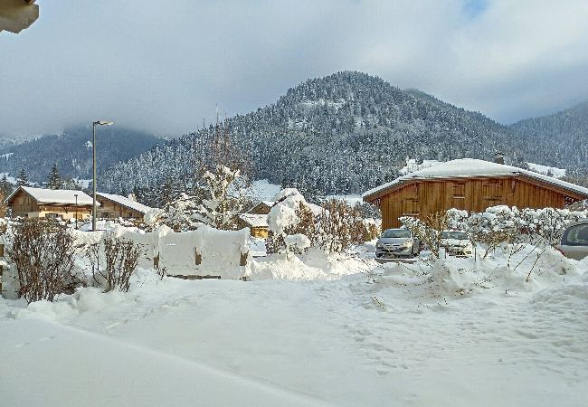 Appartement à Praz-sur-Arly - 2 PAB02 Appartement à Praz-sur-Arly - 2 PAB02