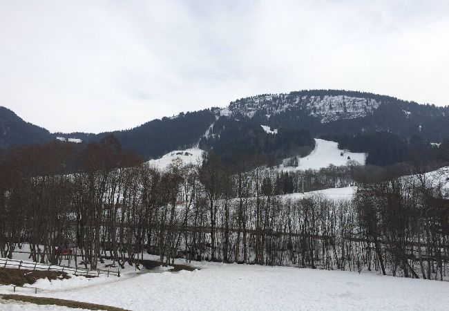 Studio à Praz-sur-Arly - 2 MEURET1G Studio à Praz-sur-Arly - 2 MEURET1G