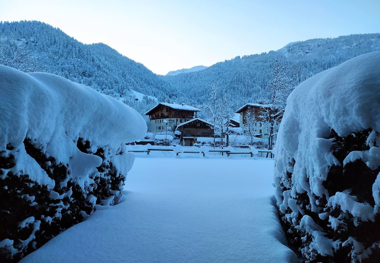 Studio à Praz-sur-Arly - 2 ORDPOG