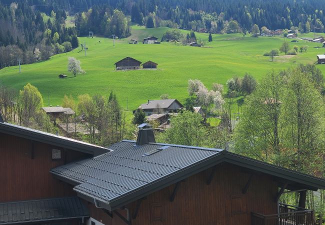 Studio à Praz-sur-Arly - 2 PRVILB66 Studio à Praz-sur-Arly - 2 PRVILB66