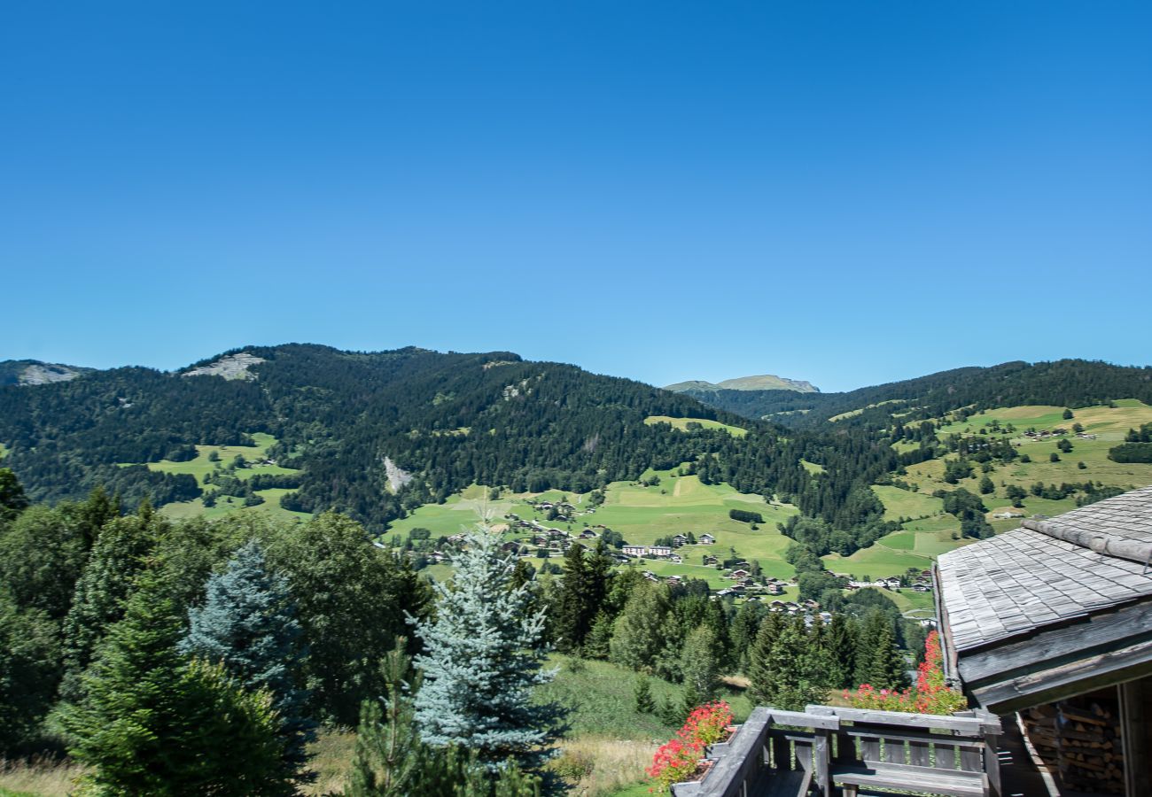 Appartement à Megève - 1 Little Ours - ROCHEBRUNE - Appartement à Megève - 1 Little Ours - ROCHEBRUNE -