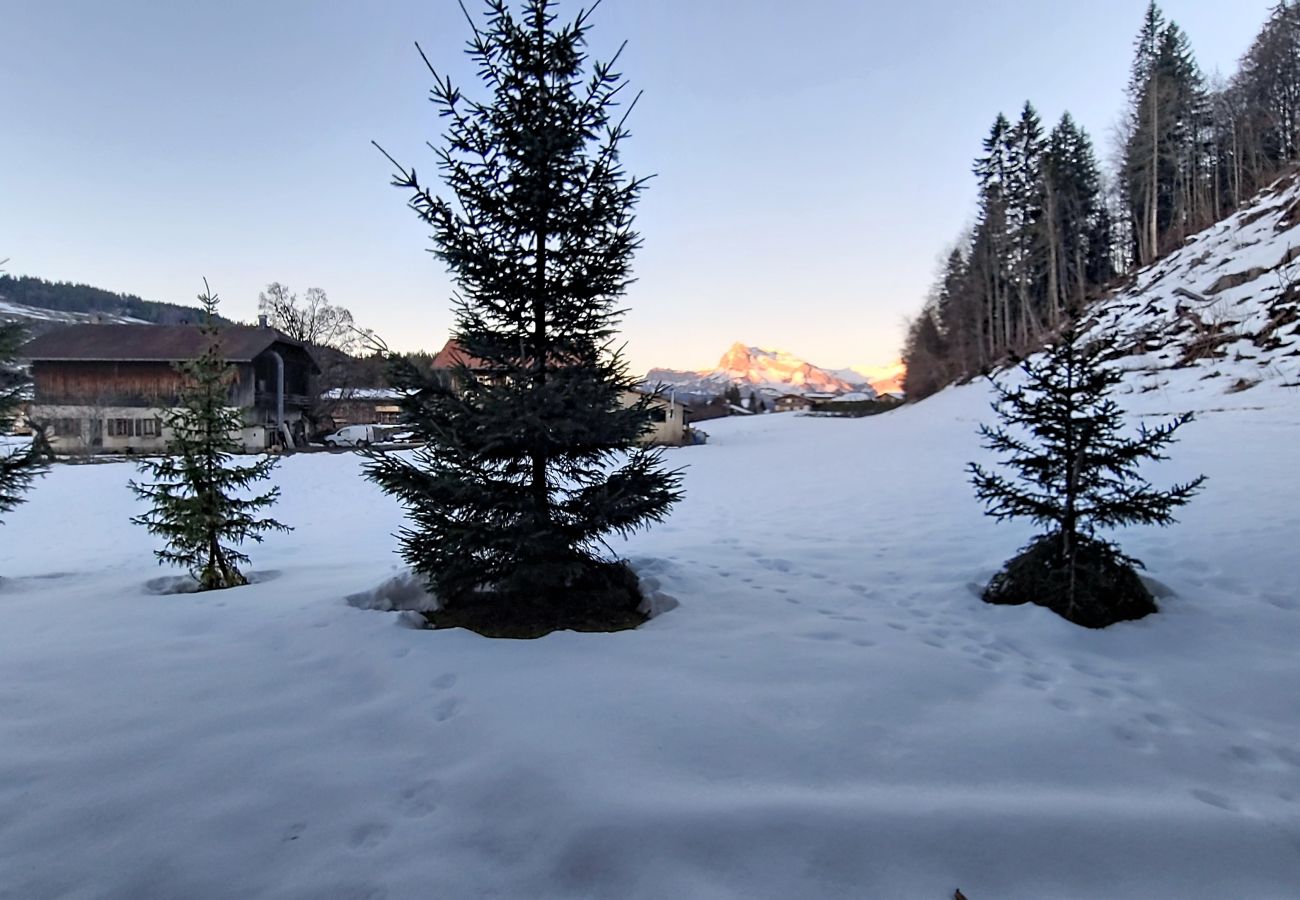 Appartement à Megève - 1 Au Bois de Cerf 2